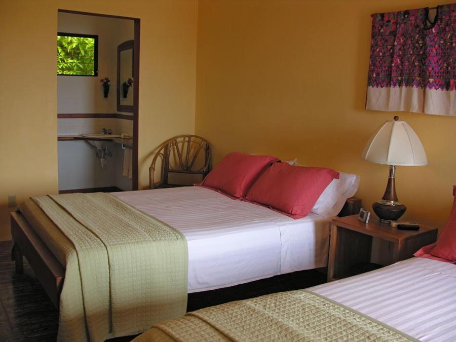 Bed and Breakfast Coral House Punta Gorda Exterior foto
